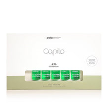 Load image into Gallery viewer, Eva | Capilo | Ekilibrium | #36 | Aqua Infusion |Oily Hair | Oily Scalp &amp; Dry Hair | 7x 10ml
